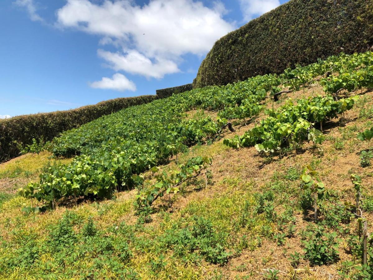 Quinta Do Pico Βίλα Πόντα Ντελγκάντα Εξωτερικό φωτογραφία